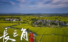 【长三角日报】傅明将迎首秀，成首位执法本届世界杯中国籍裁判员